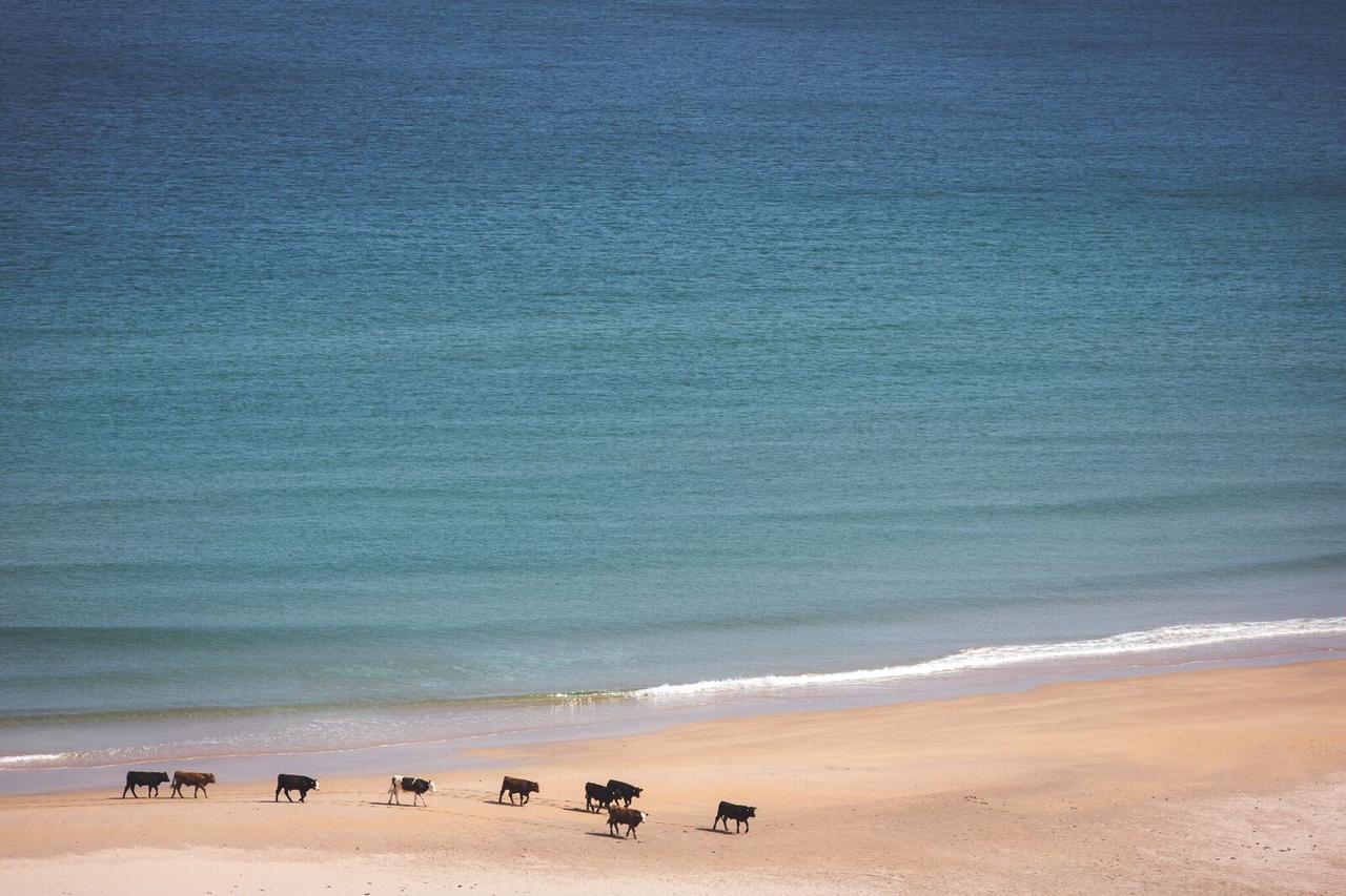 White Park Bay Youth Hostel بالينتوي المظهر الخارجي الصورة